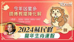 四枝富貴竹|2024年龍年布局｜蘇民峰教家居風水布局 趨旺財運桃 